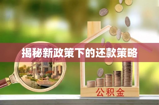 琼结揭秘新政策下的还款策略