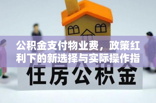 琼结公积金支付物业费，政策红利下的新选择与实际操作指南